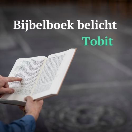 Bijbelboek-belichtTobit-500x500-1